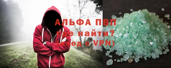 спиды Вяземский
