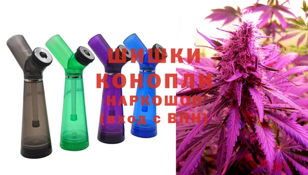 спиды Вяземский