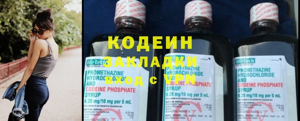 спиды Вяземский