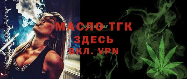 спиды Вяземский
