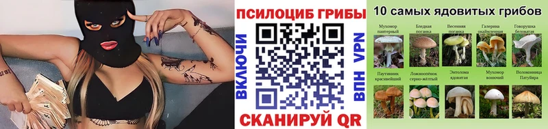 Псилоцибиновые грибы мухоморы  Фёдоровский 